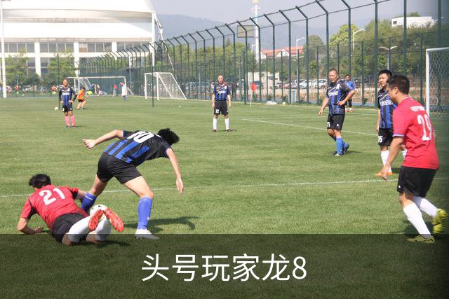 头号玩家龙8公司简介图片